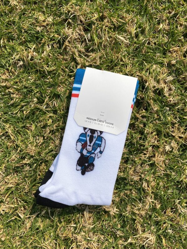 Griquas Socks