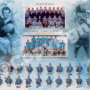 Currie Cup Winners A2 Poster Print